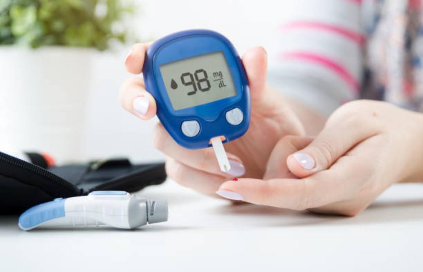 Blood Sugar wellness guides